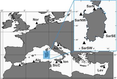 Commercial sharks under scrutiny: Baseline genetic distinctiveness supports structured populations of small-spotted catsharks in the Mediterranean Sea